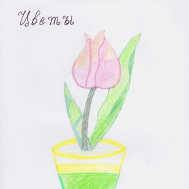 Цветы в горшочке