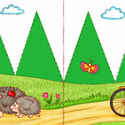 На тропинке