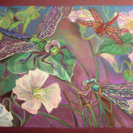 Стрекозы и ипомея