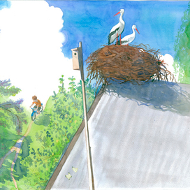 Слива и аисты