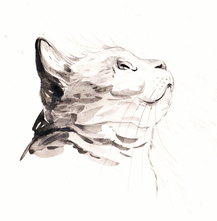 Уличный кот по имени Боб. Рипол Классик 2015 год