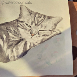 Портрет джекрассела