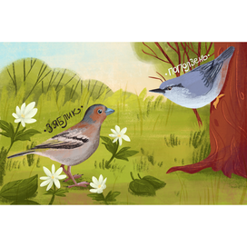 Разворот для детской книги про птиц