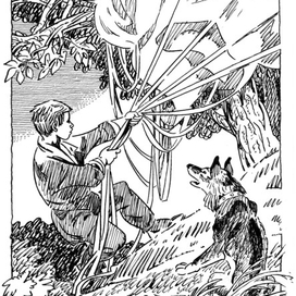 Из "Железн. Гурбана" изд. Детгиз