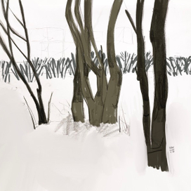 Зимний плен