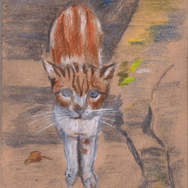 Кот сказка серия Кисловодск