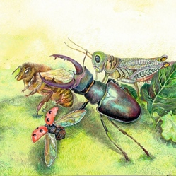 Иллюстрация к сказке Желиховской В. П. "Розанчик"