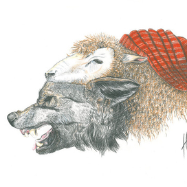 Волк и красная шапочка