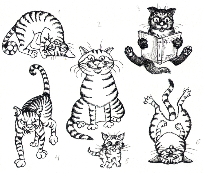 Котофизика 1