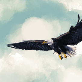 Eagle