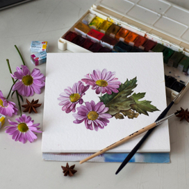 Хризантемы 