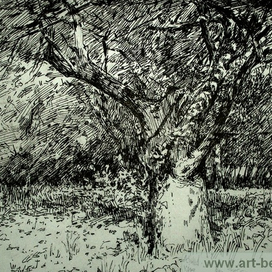 Весенний сад.