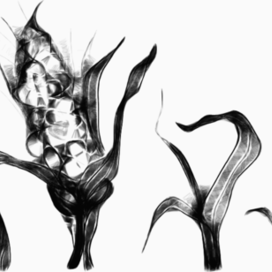 изумрудный початок