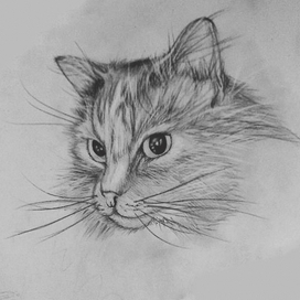 3D, Карандаш, Реализм 