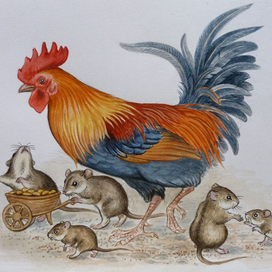 Петух с мышами