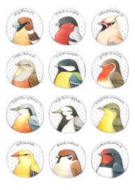 Портреты певчих птиц 