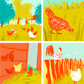 Раскадровка для рекламного ролика