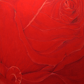 Красная роза