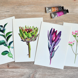 Тропическая серия