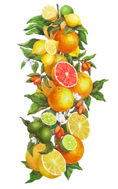 акварель для витрины