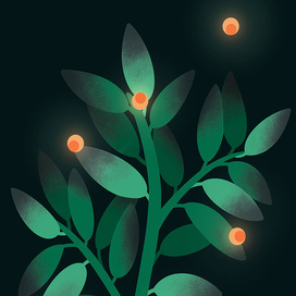 Волшебная зеленая ветвь и светлячки