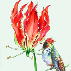 Цветок и птица
