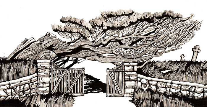 Падающее дерево. Старое кладбище.