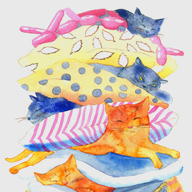 Сон бездомных котиков