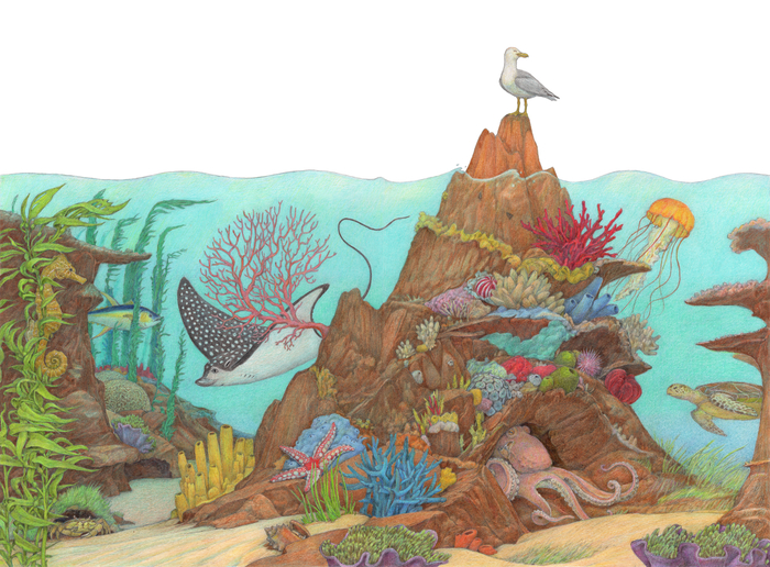 Подводный мир. 2023