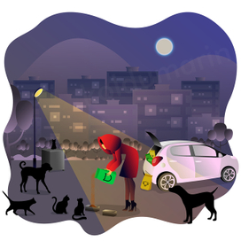 feed the street pets