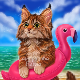 Котенок на море