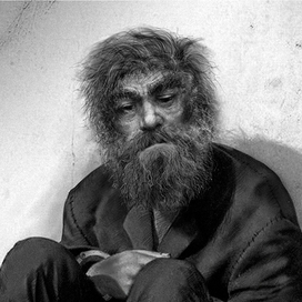 люстрации к книге А.Панчина "Апофения"