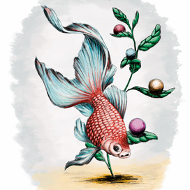 И у рыбки Новый год на носу.