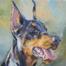 Белла Астра