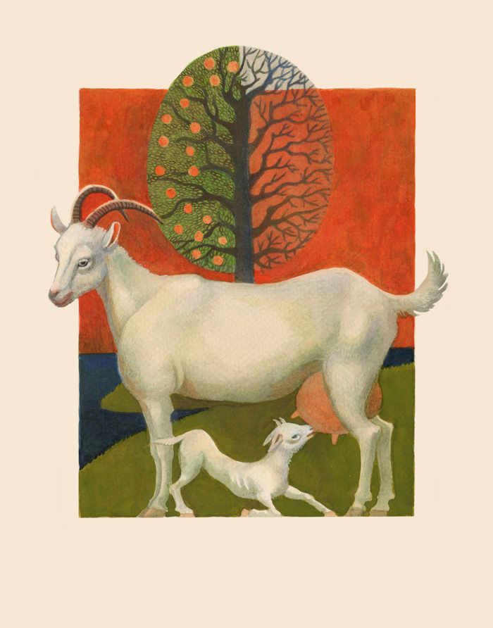 Иллюстрация к персидской сказке о птице Симург