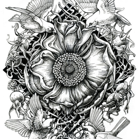 Воробьи и шиповник