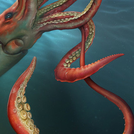 Гигантский кальмар 