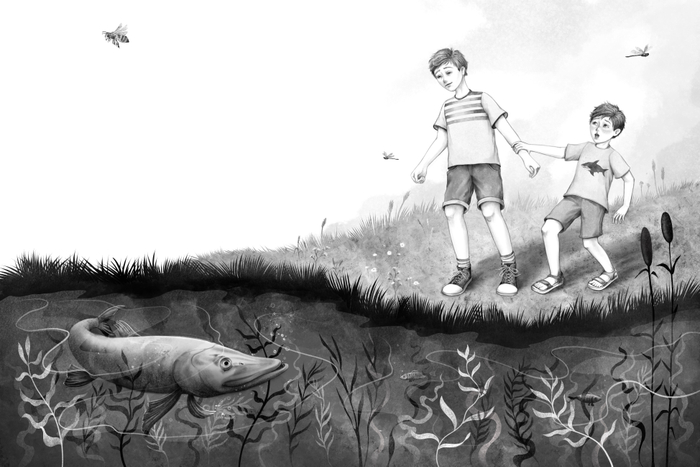 Тестовое задание 