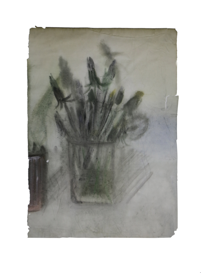 Одуванчики