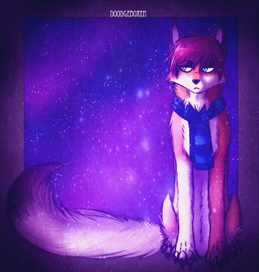 Лисокот и космос :>