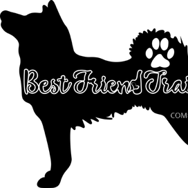 След лучшего друга