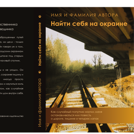 Дизайн-концепт книжной обложки