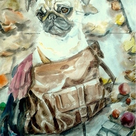 мопсик на прогулке