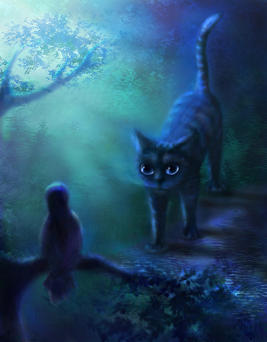 Ночь, улица, котэ