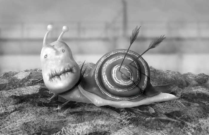 Snail