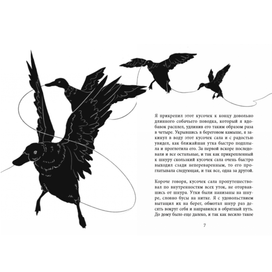 Разворот для книги «Приключения барона мюнхаузена»