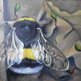 Шмель, возрождение