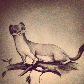 Без названия