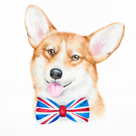 Вельш-корги