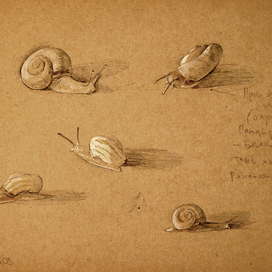 Скользкие козявки 2